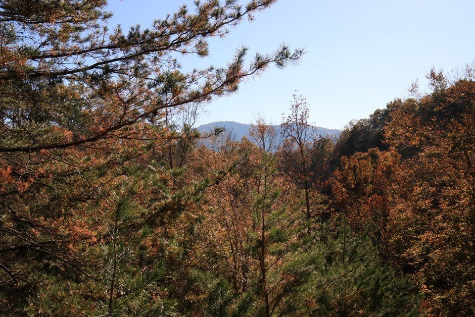 Tryon, North Carolina Real Estate property listing