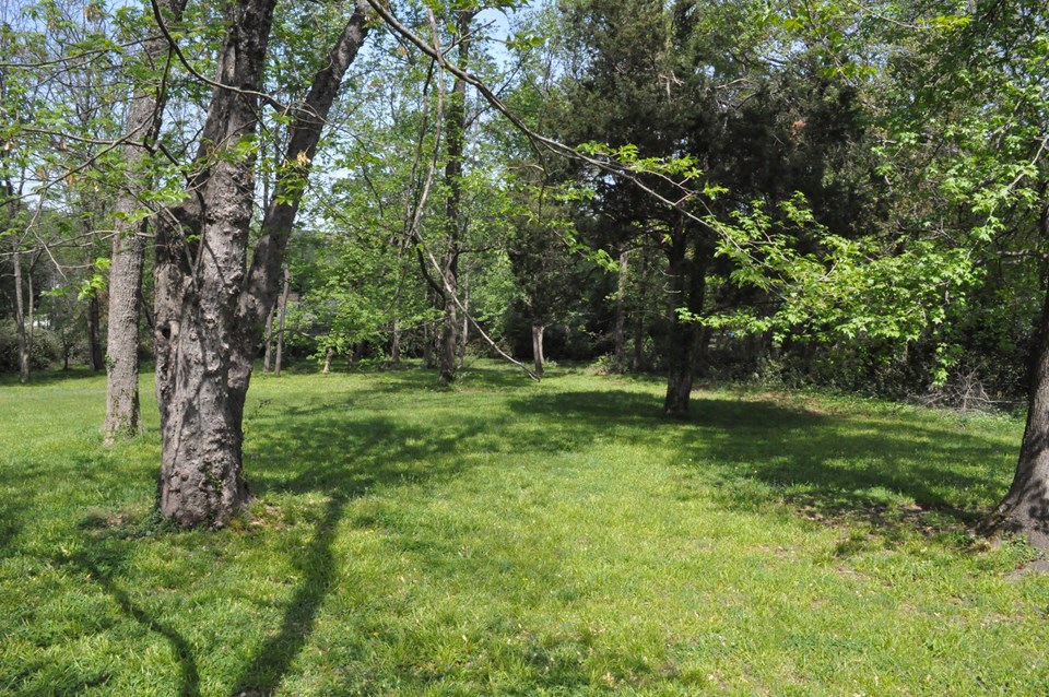 another view of the back lots